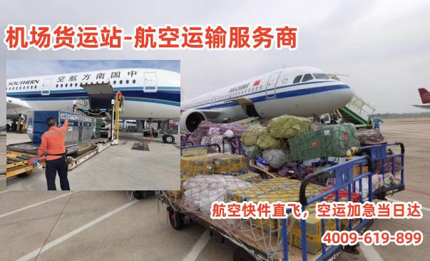 微信图片_202304041552538_副本.jpg